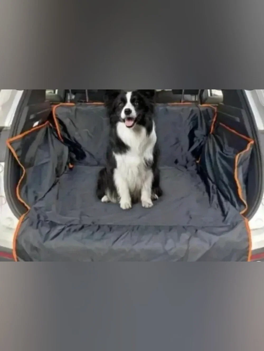 Pet Car Trunk Dog Seat Cover - Black with Orange Trim
